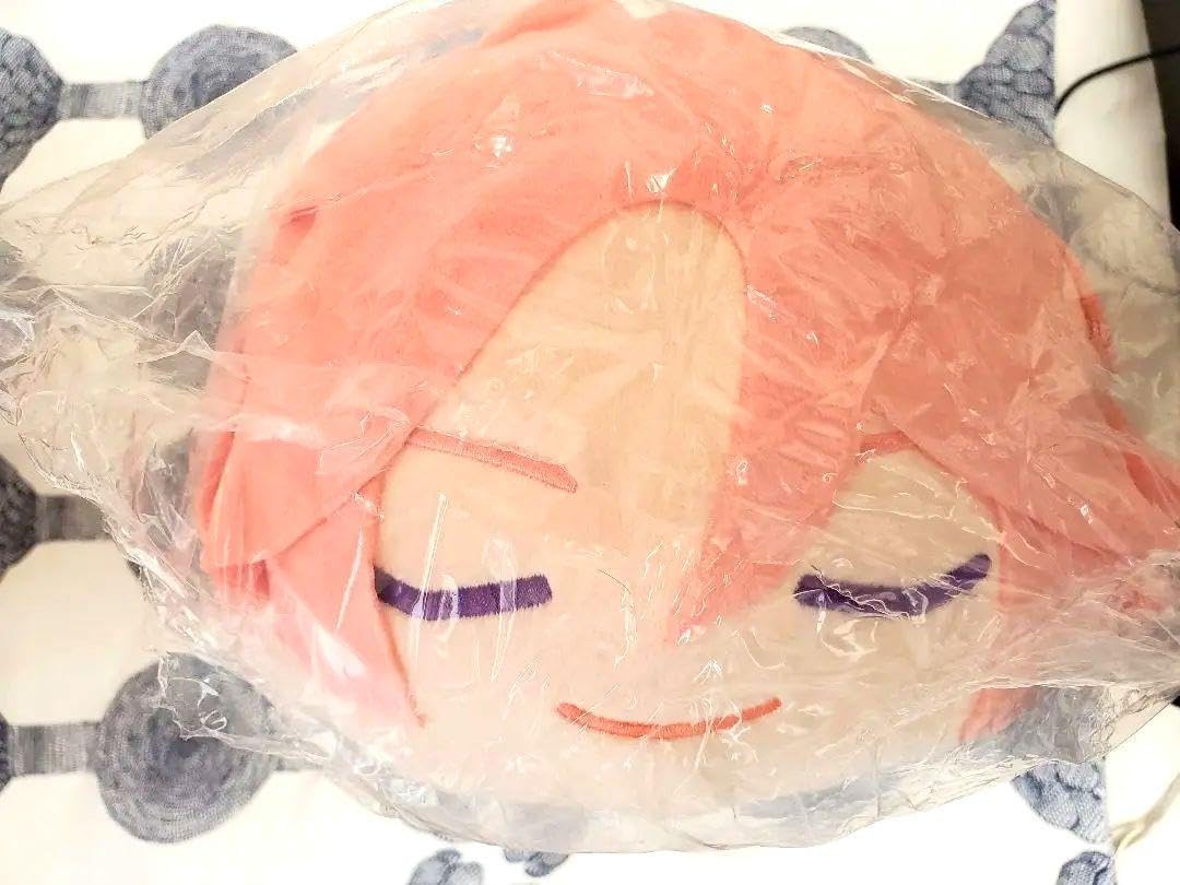 日下部淑子、【地に祈る】、希少な額装用画集画、新品高級額 額装付